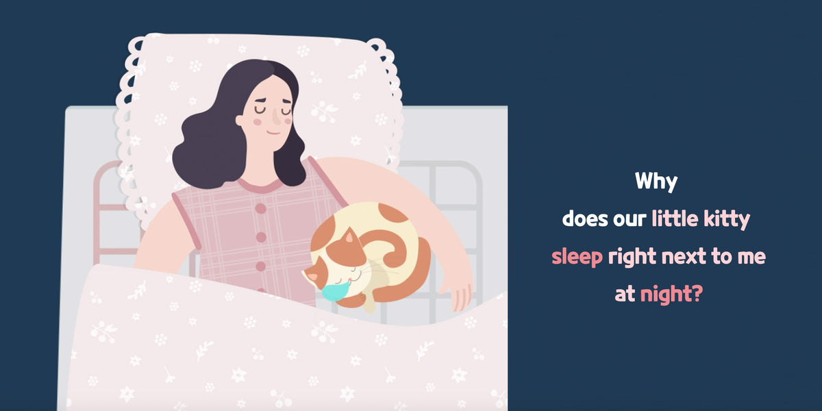 Things that happened due to bed warming mattress toppers